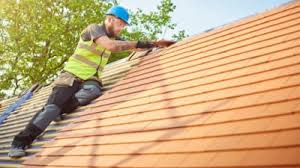 Best 4 Ply Roofing  in Carson City, NV